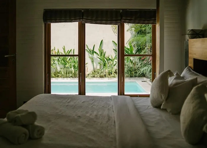 Kazz 2